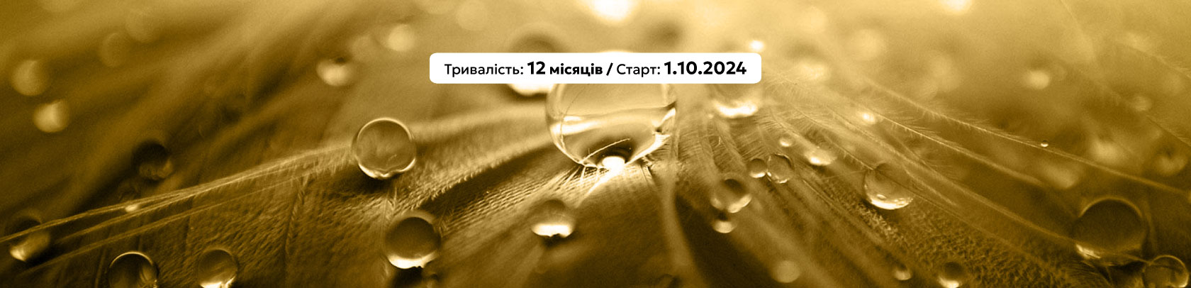 Нутриціологія: Повний курс